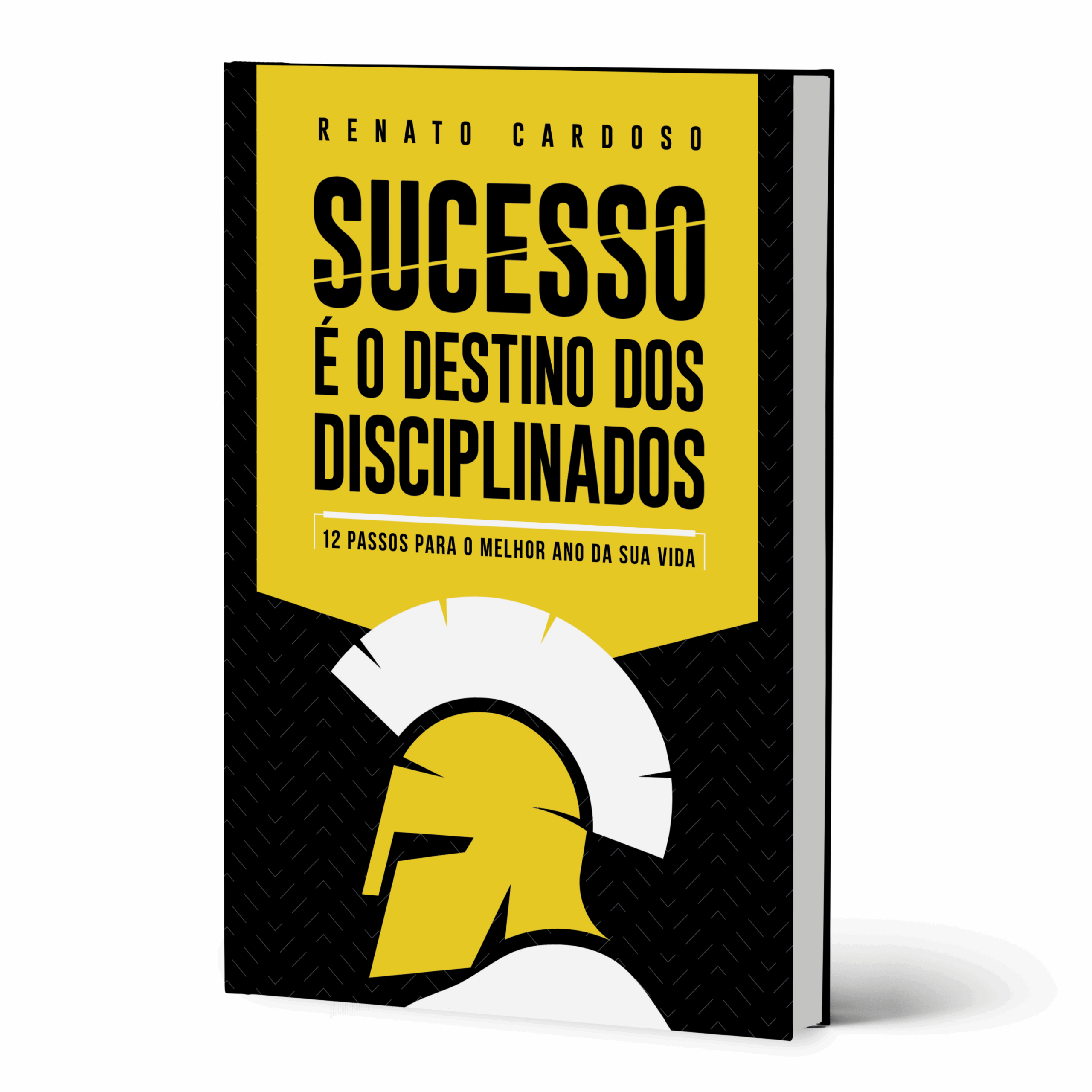 Sucesso É O Destino Dos Disciplinados